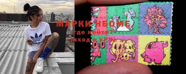 стафф Каменка