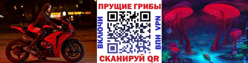 Псилоцибиновые грибы GOLDEN TEACHER  Купить закладки  Павлово 